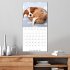 Sleeping Puppies (Wall Calendar 2026 12... - Bild 10