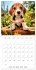 Cute PUPPY PERSONALITIES (Wall Calendar... - Bild 14