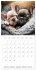 Cute PUPPY PERSONALITIES (Wall Calendar... - Bild 15
