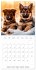 Cute PUPPY PERSONALITIES (Wall Calendar... - Bild 7