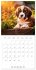 Cute PUPPY PERSONALITIES (Wall Calendar... - Bild 9