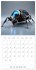 Mechanical Insects (Wall Calendar 2026... - Bild 12