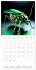 Mechanical Insects (Wall Calendar 2026... - Bild 15