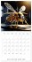 Mechanical Insects (Wall Calendar 2026... - Bild 6