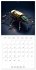Mechanical Insects (Wall Calendar 2026... - Bild 9