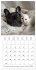 French Bulldogs (Wall Calendar 2026 12... - Bild 3