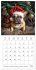 French Bulldogs (Wall Calendar 2026 12... - Bild 4