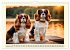 Winzlinge der Hundewelt (Wandkalender... - Bild 15