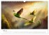 Zwitscherzeit - Ein Kalender voller... - Bild 11