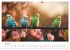 Zwitscherzeit - Ein Kalender voller... - Bild 12