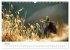 Zwitscherzeit - Ein Kalender voller... - Bild 13