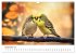 Zwitscherzeit - Ein Kalender voller... - Bild 15