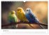 Zwitscherzeit - Ein Kalender voller... - Bild 7
