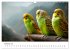 Zwitscherzeit - Ein Kalender voller... - Bild 8