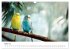 Zwitscherzeit - Ein Kalender voller... - Bild 9
