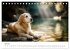 Herz aus Gold - Retriever zum Verlieben... - Bild 13