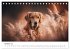 Herz aus Gold - Retriever zum Verlieben... - Bild 3