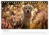 Herz aus Gold - Retriever zum Verlieben... - Bild 7