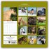 Horses - Pferde 2026 - 16-Monatskalender - Bild 2