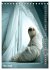 White Life (Tischkalender 2026 DIN A5... - Bild 11