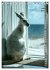 White Life (Tischkalender 2026 DIN A5... - Bild 5