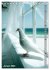 White Life (Tischkalender 2026 DIN A5... - Bild 7