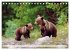 TIERKINDER Abenteuer Wildnis... - Bild 11