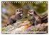 TIERKINDER Abenteuer Wildnis... - Bild 13