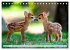 TIERKINDER Abenteuer Wildnis... - Bild 14