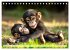TIERKINDER Abenteuer Wildnis... - Bild 15