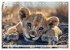 TIERKINDER Abenteuer Wildnis... - Bild 4