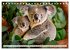TIERKINDER Abenteuer Wildnis... - Bild 8