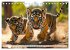 TIERKINDER Abenteuer Wildnis... - Bild 9