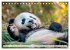 TIERKINDER Abenteuer Wildnis... - Bild 10