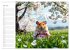 Nagertrip - Ein kleiner Hamster... - Bild 13