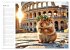 Nagertrip - Ein kleiner Hamster... - Bild 10
