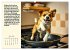 Illustrierte deutsche Redewendungen mit... - Bild 13