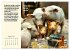 Illustrierte deutsche Redewendungen mit... - Bild 14