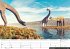 Dinos 2026: Dinosaurier Kalender - Bild 5