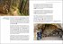 Wander-Geheimtipps Schwäbische Alb  ... - Bild 6