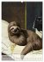 Sloth Art Originals ... eine... - Bild 3