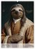 Sloth Art Originals ... eine... - Bild 4