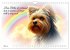 Hunde über der Regenbogenbrücke... - Bild 9