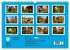 Farbenfrohes Mittelalter (Wandkalender... - Bild 6
