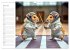 Hamster Olympiade - Der flauschigste... - Bild 12