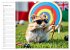 Hamster Olympiade - Der flauschigste... - Bild 3
