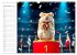 Hamster Olympiade - Der flauschigste... - Bild 5