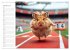 Hamster Olympiade - Der flauschigste... - Bild 7