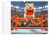 Hamster Olympiade - Der flauschigste... - Bild 9