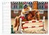 Hamster Olympiade - Der flauschigste... - Bild 13